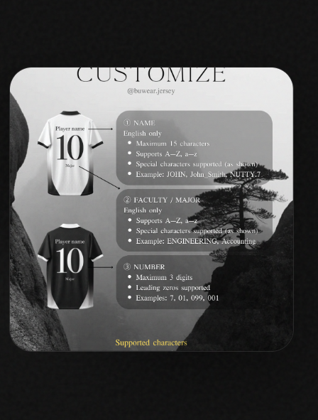 Customization preview