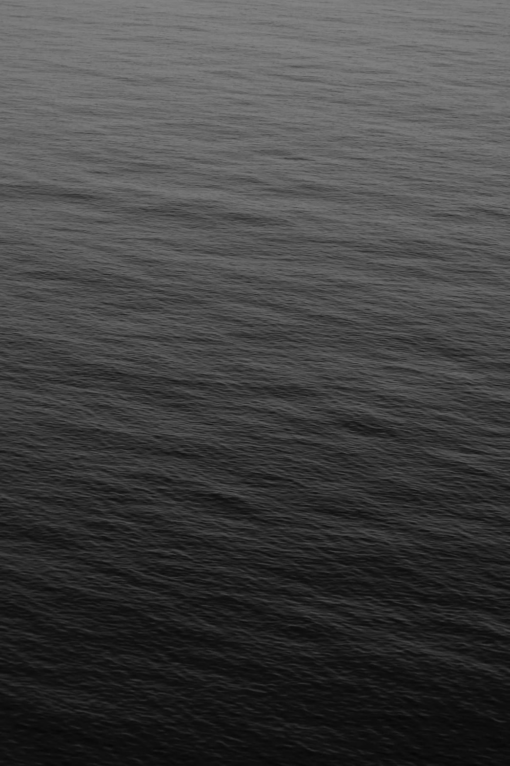BUwear Jerseys Co. Background